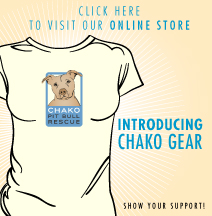 Chako gear promo image