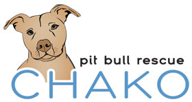 surrendering pit bull rescue